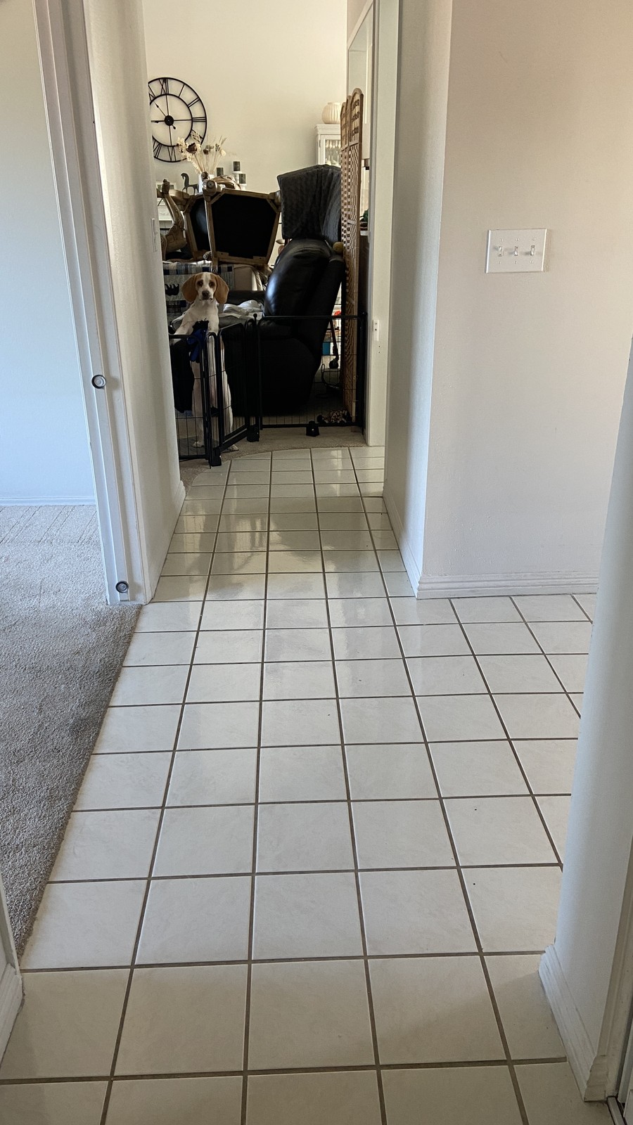 Zelo Flooring project 34